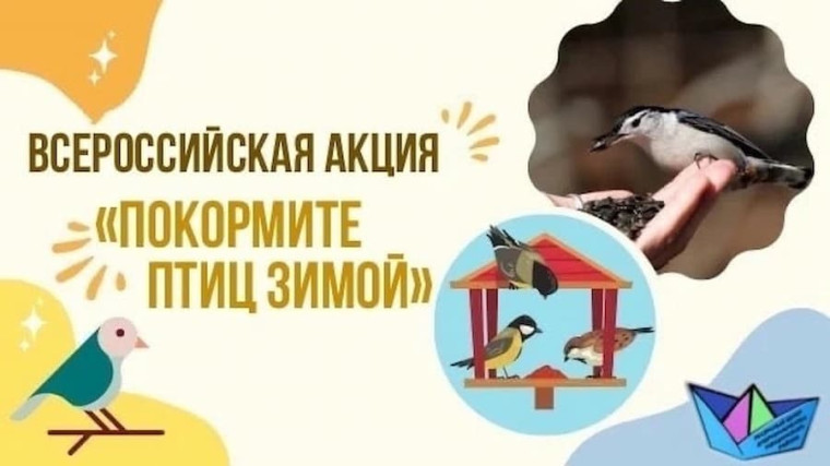 "Покорми птиц зимой".